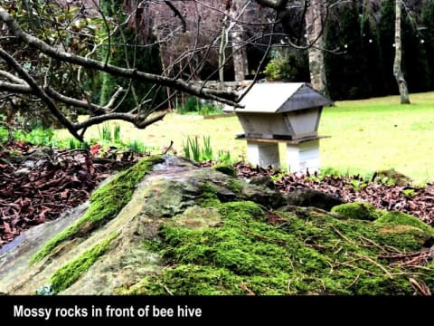 HERITAGE SEED BANK and OPEN GARDEN
