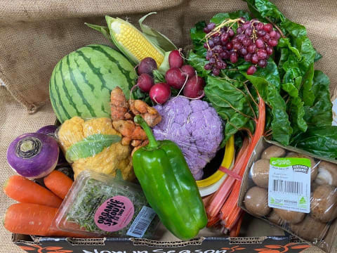 Highly Profitable Large Format Health Food Store – Forster, Mid North Coast NSW