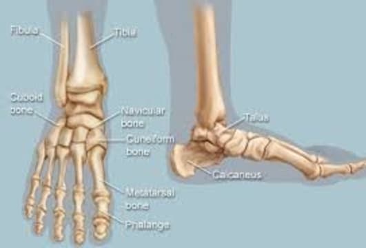 Tpojli25x5soafy3vmdb