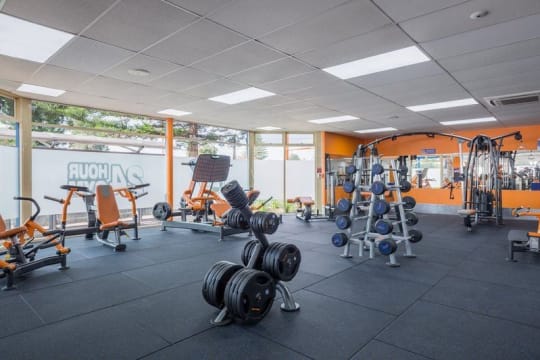 Turnkey 24 Hour Gym Franchise Opportunity - Adelaide