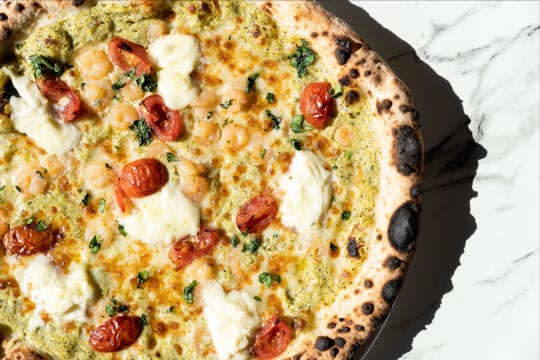 Tqu1oobwlejlurlir0l2