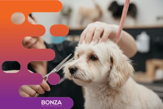 36775 Busy Dog Grooming Salon With Loyal Clientele