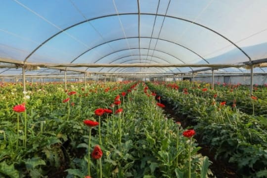 Western Victoria Agricultural Farm Land and Infrastructure (IWF2401)