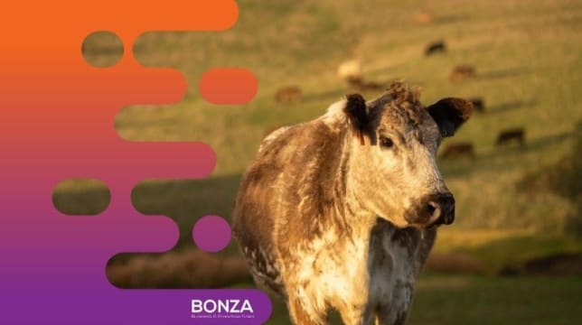 Tsaxhuety50zcgoodowh