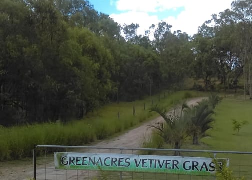 NATURES ENGINEERING WONDER PLANT