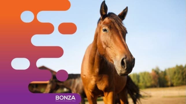 36071 Profitable Livestock Product Brand - National Distribution Network