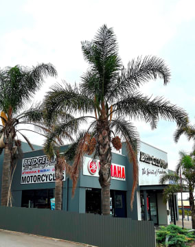 BRIDGELAND MOTORCYCLES DEALERSHIP - SALES & SERVICE - FREEHOLD AVAILABLE