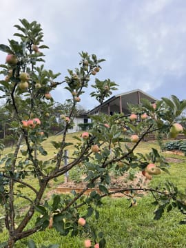 MODERN HOMESTEAD & ACREAGE, ECO-TOURISM APPROVED - 1072CPF