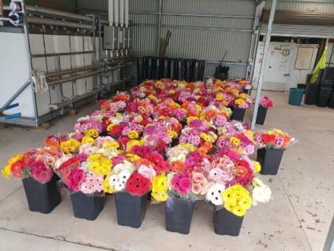 Western Victoria Agricultural Farm Land and Infrastructure (IWF2401)