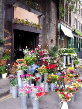 Established Florist for sale in Bentleigh area