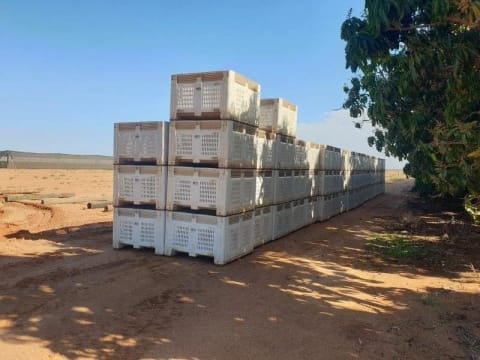 Horticulture Business & 58 Acre Asset | $1.5M+ Capability | Walk-In Walk-Out