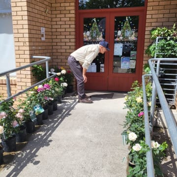 Moontree Health & Organic Supermarket Long-Established Cooma Icon