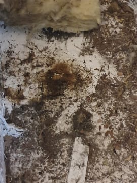 Roof Insulation replacement Services - Perth Metro