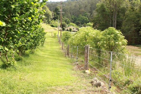 Sustainable Hazelnut & Agritourism Business Opportunity