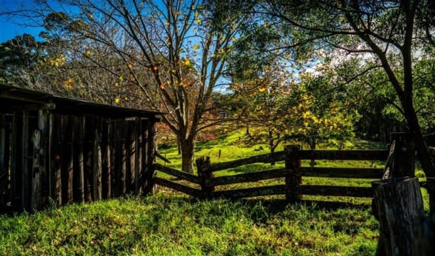 Agriculture, Recreation and Luxe Accommodation Development Opportunity