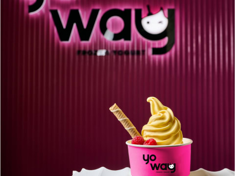 Expressions of Interest – YoWay Frozen Yogurt $85K Franchise
