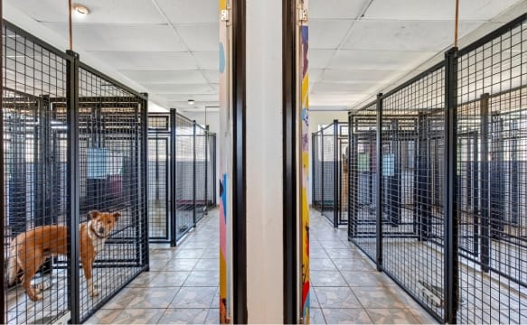 26 Acres, Established Pet Resort & Multiple Residences – A Rare Freehold Opportunity
