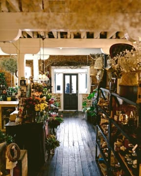 Ukp4qlcmqho6qnorxyau