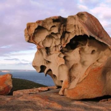 Award Winning EcoStar Tourism Business - Kangaroo Island