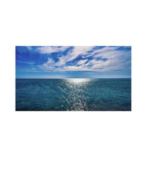 Café: Waterside (licensed) including Freehold- Stunning!