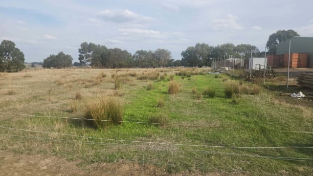 Rural Business & Lifestyle  -  Freehold Available