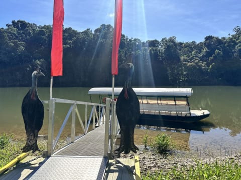 The closest Wet Tropics World Heritage river-based experience to Cairns