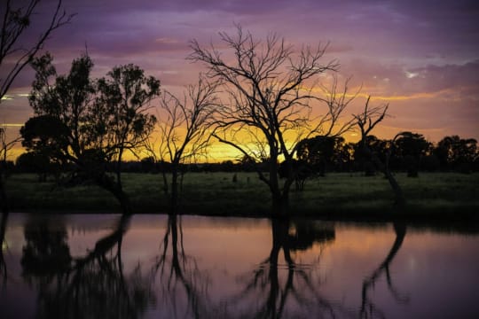 Uvjnz5k6cxkm47xrxehh