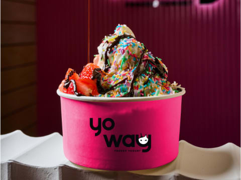 Expressions of Interest – YoWay Frozen Yogurt $85K Franchise