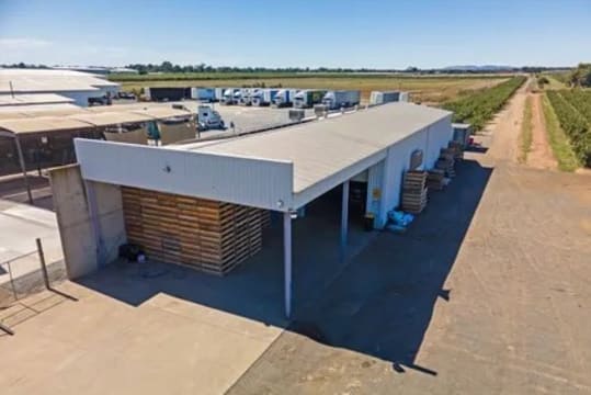 Premium Commercial Fig Orchard | Freehold Land | Established Agribusiness