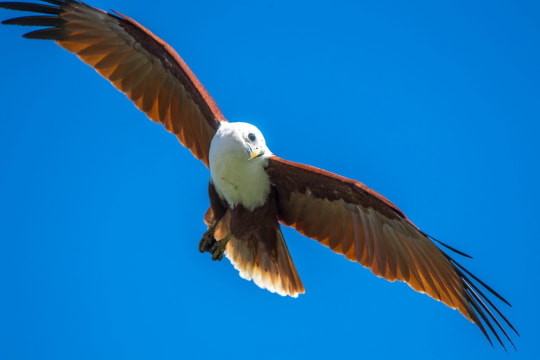 NATURE AND KARUMBA SAND ISLAND SUNSET CRUISES