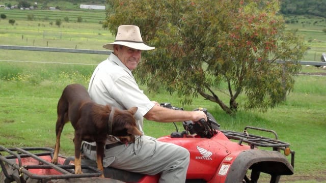 V6vtuxy1qok94pgdcn7g