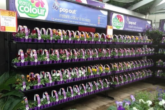 V8zqlsp7ztywwpxm0gl7