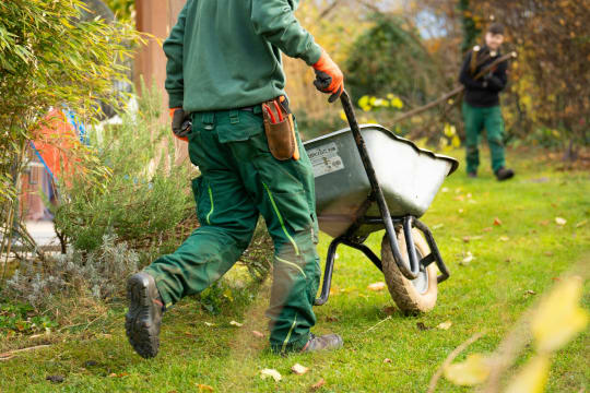 Established Landscaping and Garden Design Business, Queanbeyan / Canberra Region