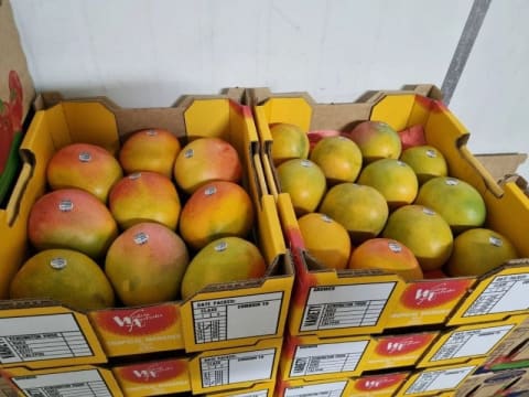 Horticulture Business & 58 Acre Asset | $1.5M+ Capability | Walk-In Walk-Out