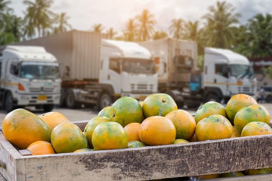 Premium Fresh Produce Wholesale & Retail – Two Distinct Businesses for Sale