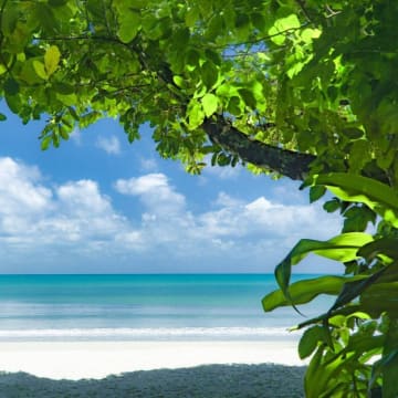 Daintree Rainforest Luxe Eco Lodge For Sale