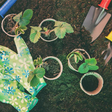 Garden Supply Business - Mansfield Victoria