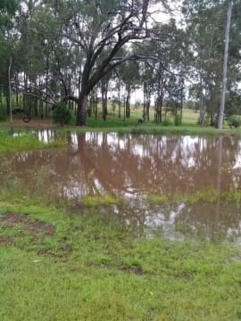 Vi4kywvwlwf0sjurwtmt