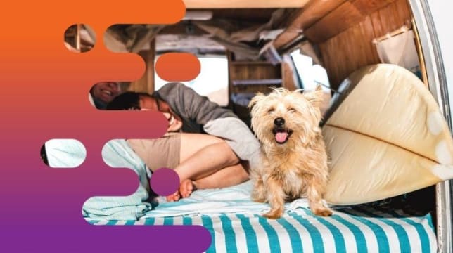 35537 Profitable Campervan & Car Rental Business - Ready for New Ownership