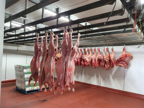 Vn4ruavb9zv6jmgzuoxb