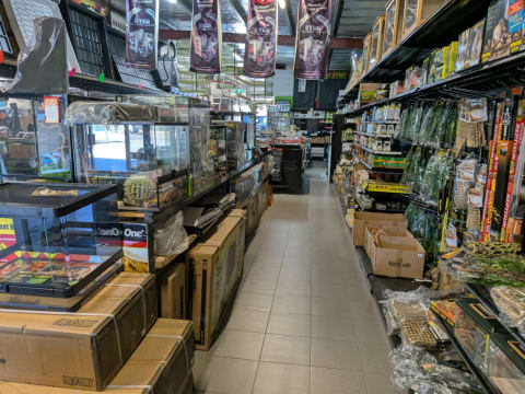 Reptile and Hydroponic Shop – First and Only in WA – Est. 2003 – East Rockingham, WA