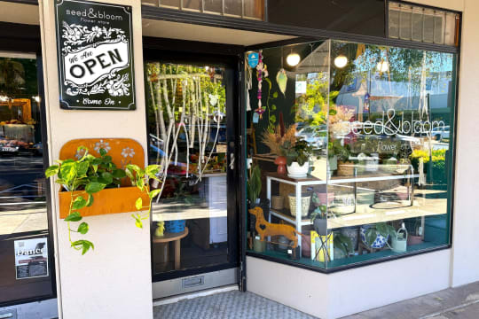 LEASEHOLD - Seed & Bloom Flower Store, Wangaratta - 1P0586