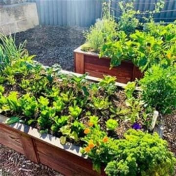 Leading Organic Gardening Business in Perth/Neerabup, WA