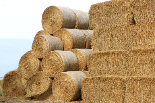 Rural Supply Business Riding WA’s Growth Wave – Expansion Ready