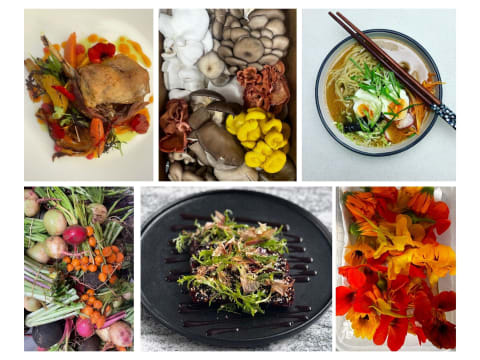 Vuxfq9v35qzoctued9b8