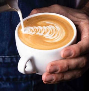 ICONIC SOUTH YARRA CAFE – WALK IN / WALK OUT BARGAIN!