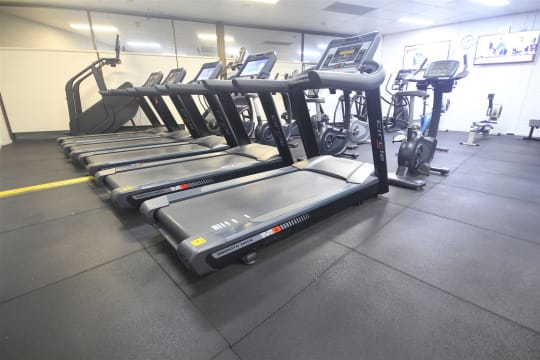 Established 24/7 Gym Business - Como