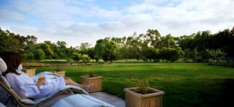 Vz335gtlnzgyo1tpw2nn