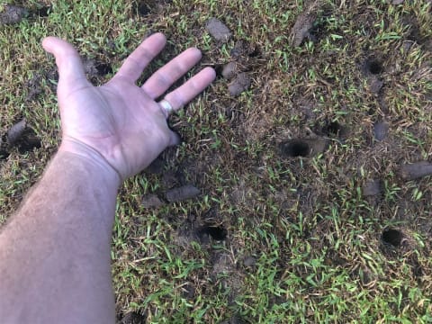 Highly Profitable Lawn Renovation & Sports Field Maintenance Business