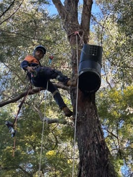 Two Long-Established Arborist Businesses with Strong Cashflow & Major Contracts